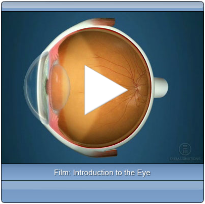 Eyemagination video example